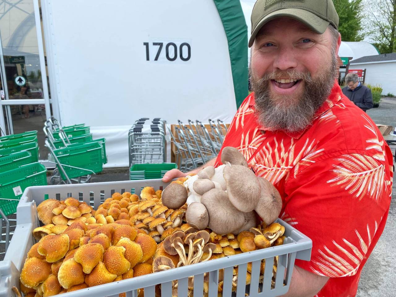 Monsieur Champignons - Marché Godefroy
